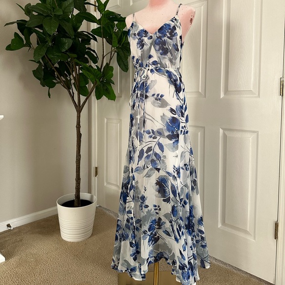 Carlotta Blue and White Floral Print Sleeveless
Maxi Dress - Picture 7 of 14